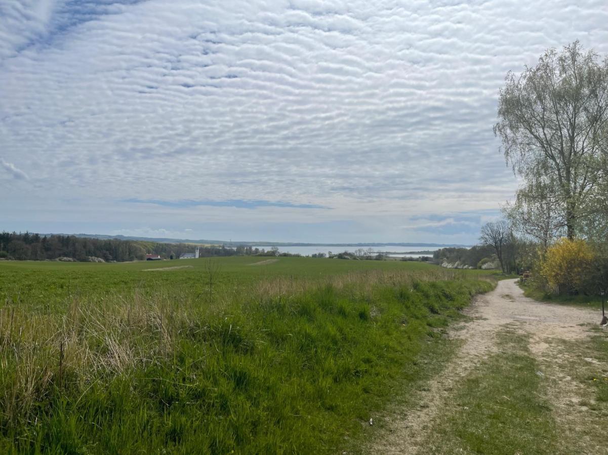 Villa Albeck Rønde Zewnętrze zdjęcie